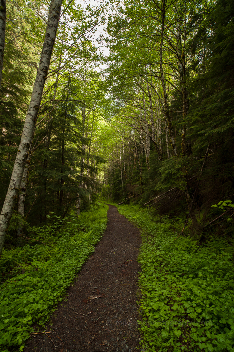 Goat Lake Trailhead